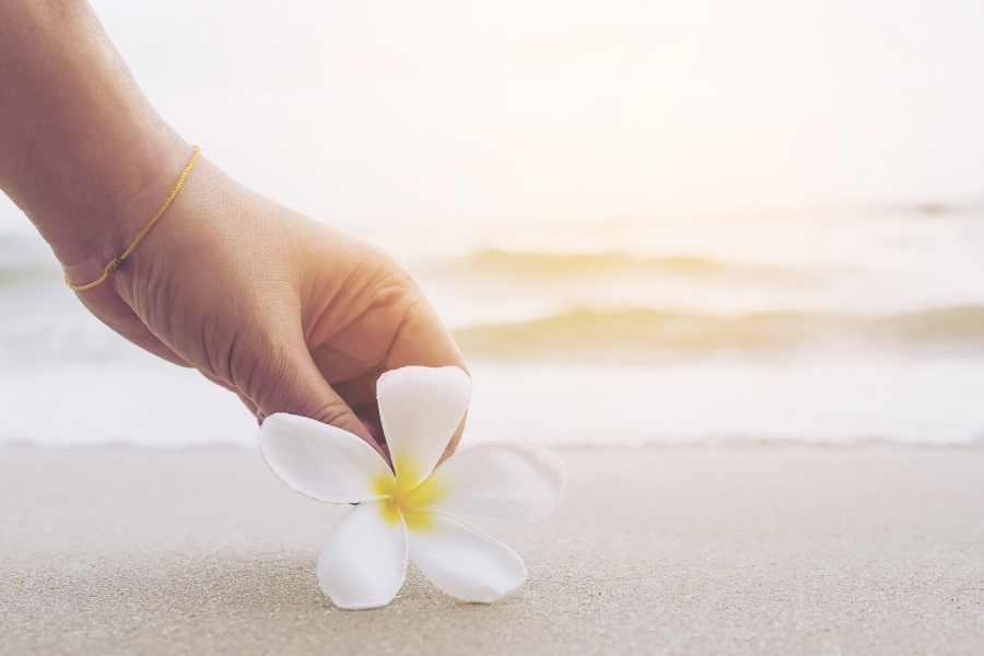 white flower